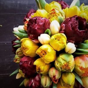 tulips