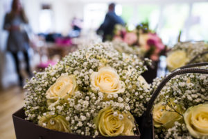 Brad Wakefield Photography